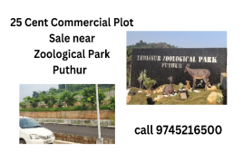 25 cent Commercial Plot Facing Zoological Park, ,Puthur,Thrissur